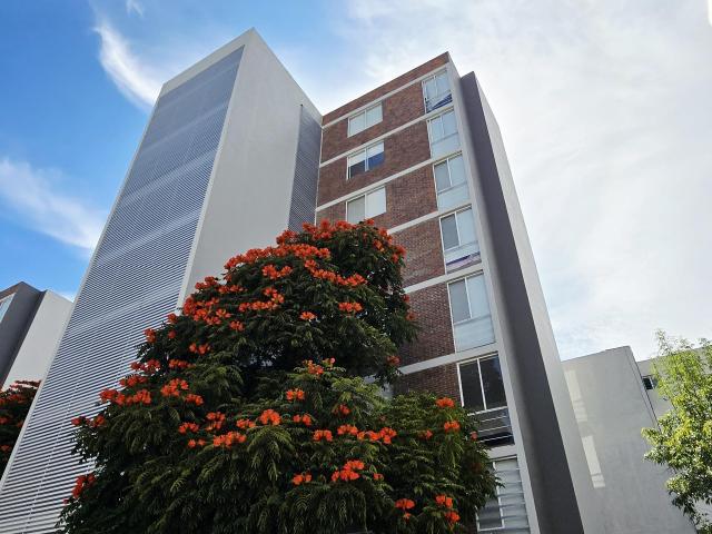 DEPARTAMENTO EN RENTA, TORRES MAYORAZGO