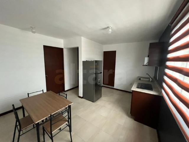 Departamento en renta Tampico Centro, Tampico