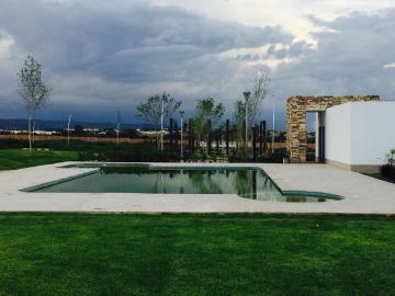 Departamento en renta Terranza Residence, Avenida Guadalupe Gonzalez, Los Pocitos, Residencial Terranza, Aguascalientes, México