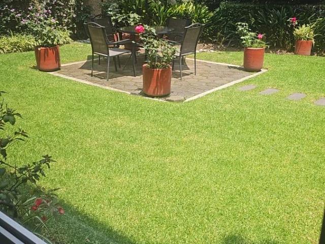 Departamento en Tlalpan Centro