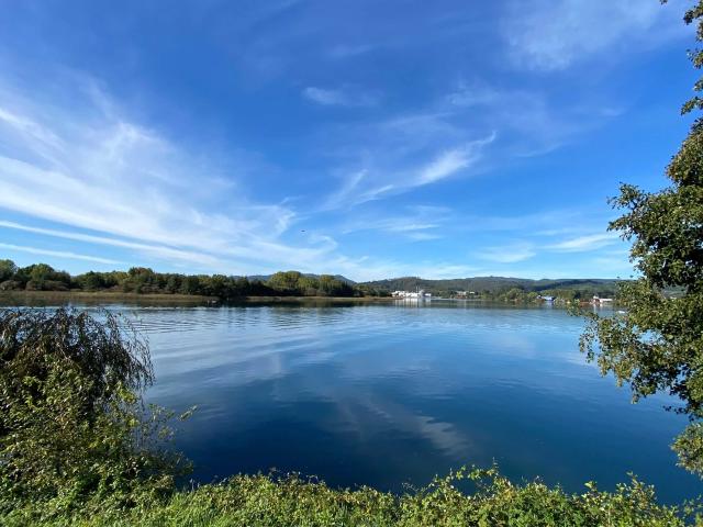 Departamento en Valdivia
