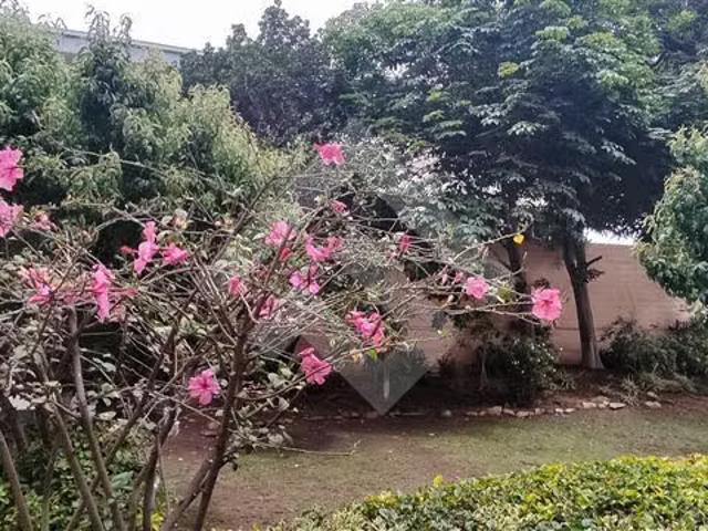 Departamento en venta de 3 dorm. En Viña del Mar | 3 dormitorios por 5100.00 en Viña del Mar