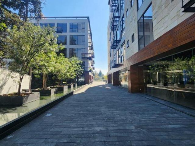 Departamento en Venta, Desierto de los Leones, Tetelpan 4