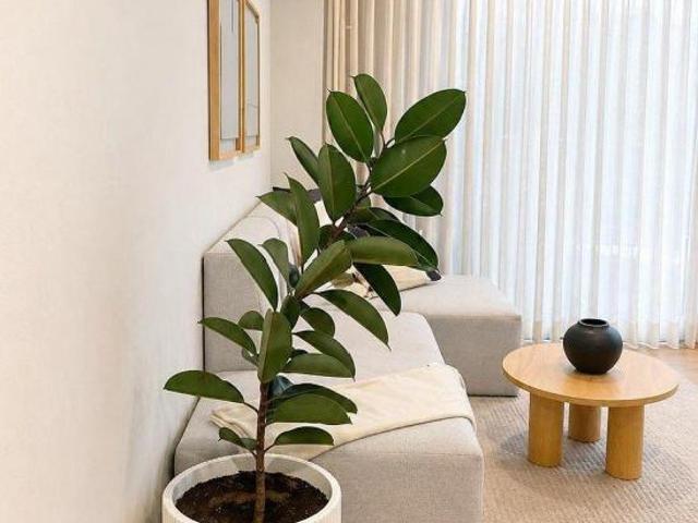 DEPARTAMENTO EN VENTA EN CIUDAD GRANJA