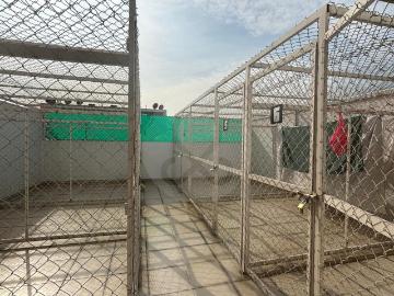 Aprovecha depa en venta a muy buen precio en San Pedro de los Pinos 3 Rec?maras