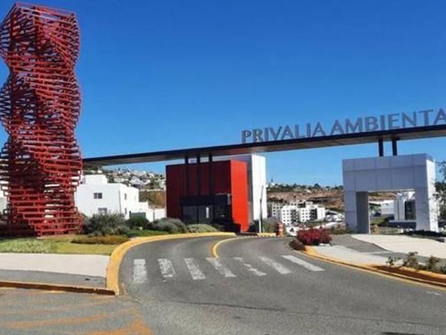 ¡DEPARTAMENTO AMUEBLADO EN RENTA EN PRIVALIA!