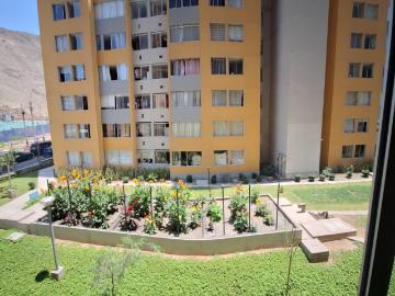 Trébol, Provincia De Lima, San Borja, Provincia de Lima, Lima, Perú