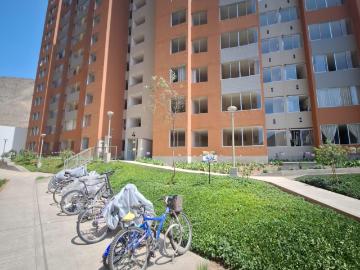 Trébol, Provincia De Lima, San Borja, Provincia de Lima, Lima, Perú