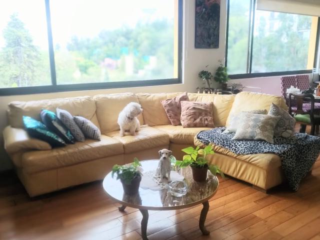 Departamento en venta en Tetelpan