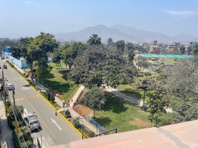 DEPARTAMENTO EN VENTA FRENDE AL PARQUE EN SJL URB LAS FLORES CON TERRAZA