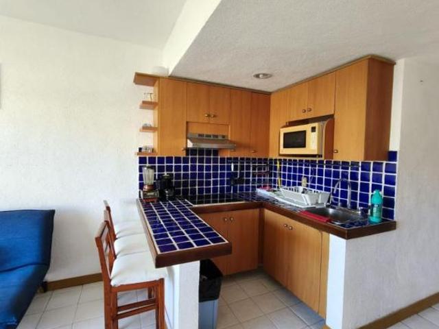 DEPARTAMENTO EN VENTA IGUANA IXTAPA