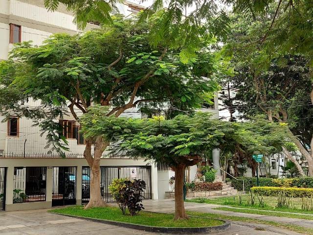 Departamento en Venta Jr. Condoroma Higuereta