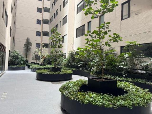 Departamento en venta o renta en Residencial Nova, el Olivo
