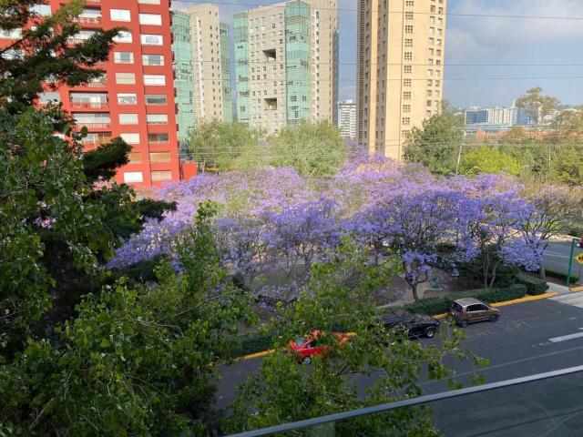 Departamento en Venta o Renta en Santa Fe, Residencial Ventanas