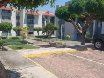 Calle Libra Zapopan, Juan Manuel Vallarta, Pinos ZAPOPAN, Guadalajara Jalisco, Jalisco