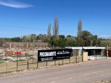 Departamento en Venta San Martin Mendoza