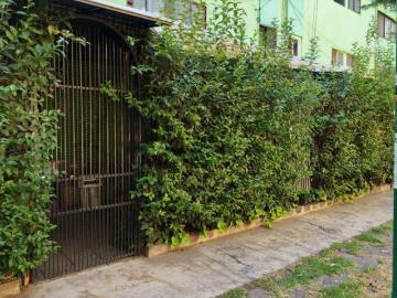 Departamento en Venta Planta Baja Unidad Lindavista