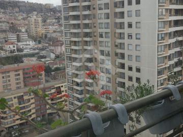 Departamento en Viña del Mar