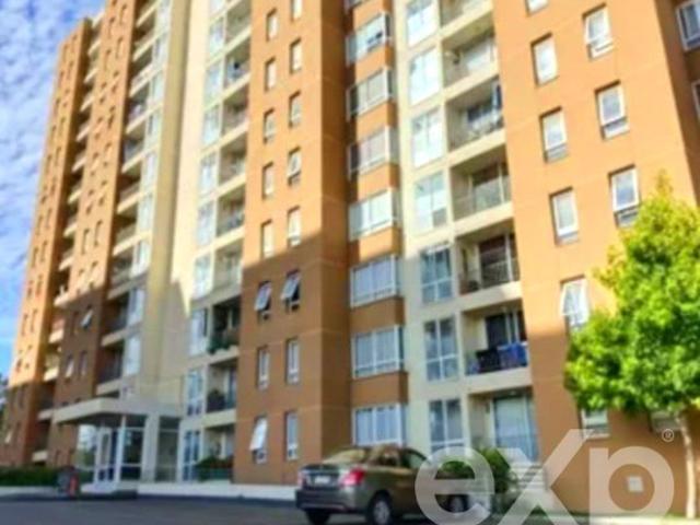 Departamento en Viña del Mar