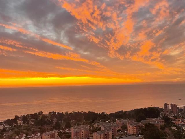Departamento en Viña del Mar