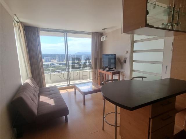 Departamento en Viña del Mar