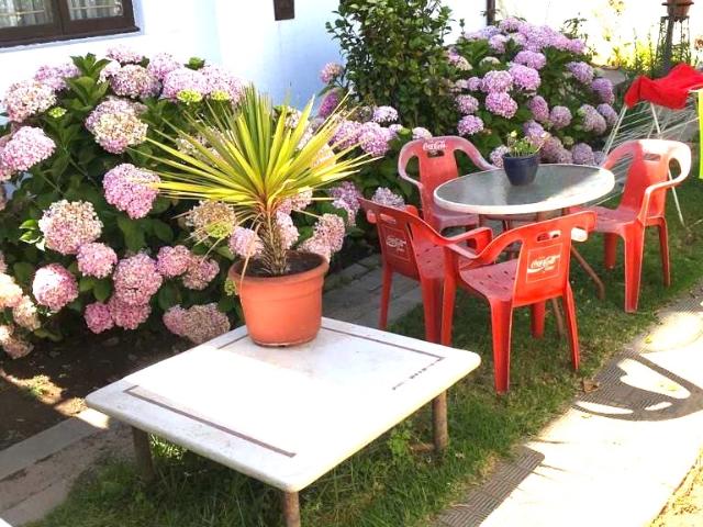 Departamento en Viña del Mar