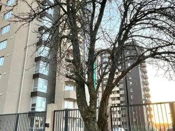 Departamento estudio en condominio circunvalación | 1 dormitorios por 1900.00 en Valdivia