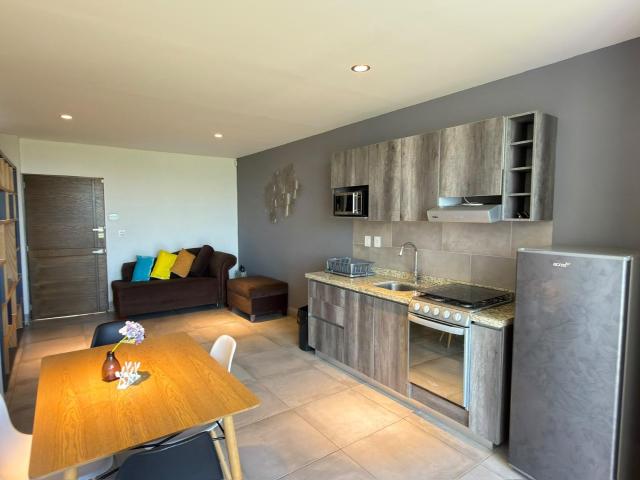 DEPARTAMENTO FLEX AMUEBLADO EN RENTA LEON GTO ZONA NORTE CON ROOF GARDEN PRIVADO A 5 MIN DEL PARQUE LOS C?RCAMOS