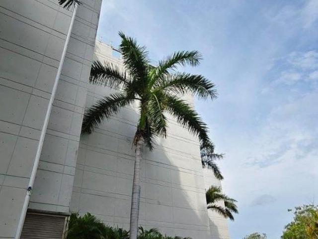 Departamento frente a La Marina, Ixtapa, Zihuatanejo