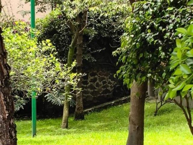 Departamento Insurgentes Cuicuilco