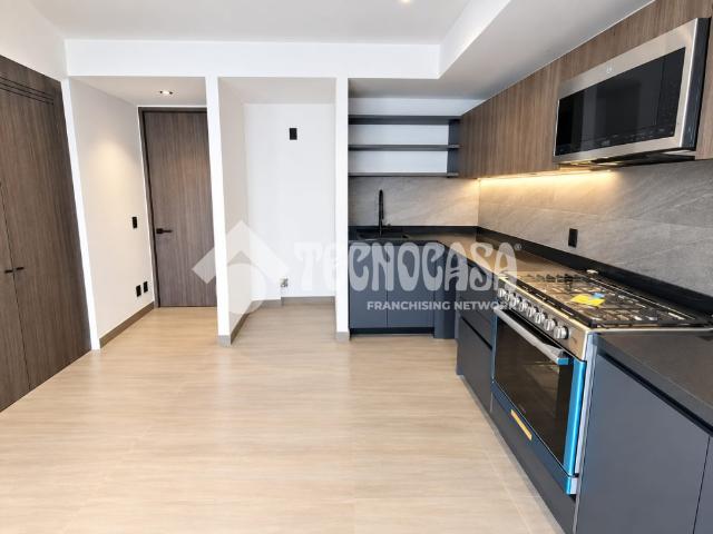 DEPARTAMENTO JOSE MARIA RICO, COL. DEL VALLE SUR