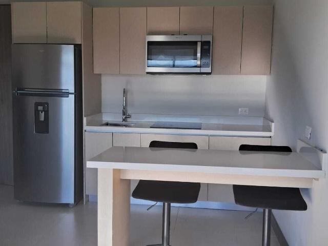 DEPARTAMENTO LOFT EN RENTA VALLE/CAPELLANÍA