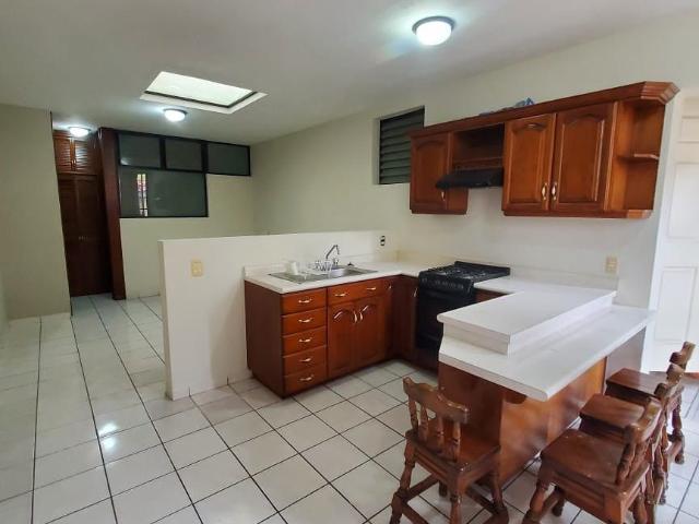 DEPARTAMENTO / LOFT EN RENTA EN PROVIDENCIA