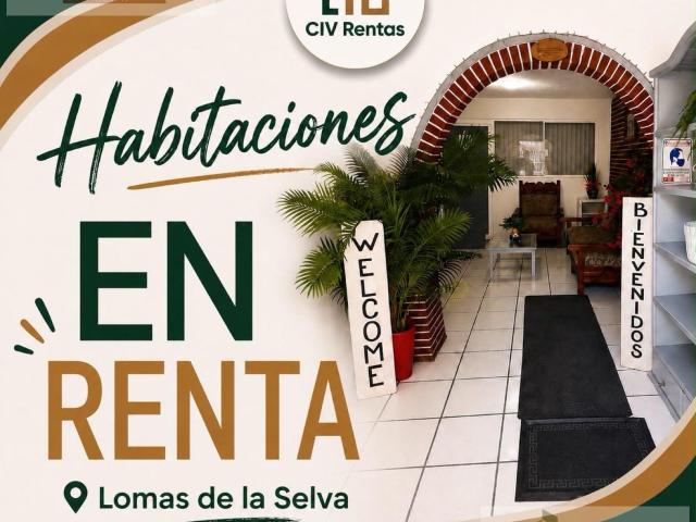 Departamento Lomas de La Selva