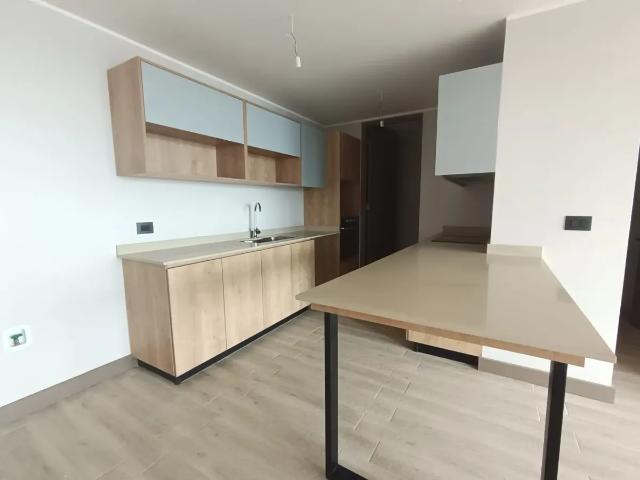 Departamento Nuevo En Arriendo En Frutillar
