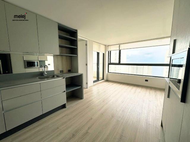 Departamento nuevo, edmundo eluchans