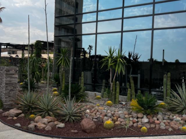 Departamento Nuevo NYMPHE TOWERS, León