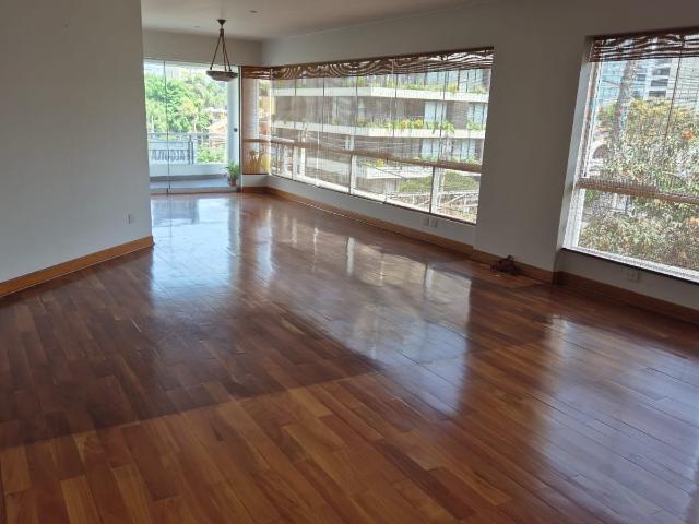 Departamento San Isidro