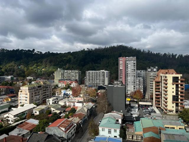 Departamento pleno centro