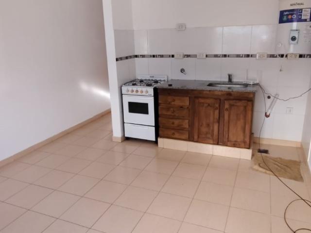 DEPARTAMENTO ROCA 386
