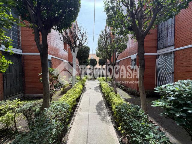 DEPARTAMENTO RODODENDRO, COL. LOS ANGELES