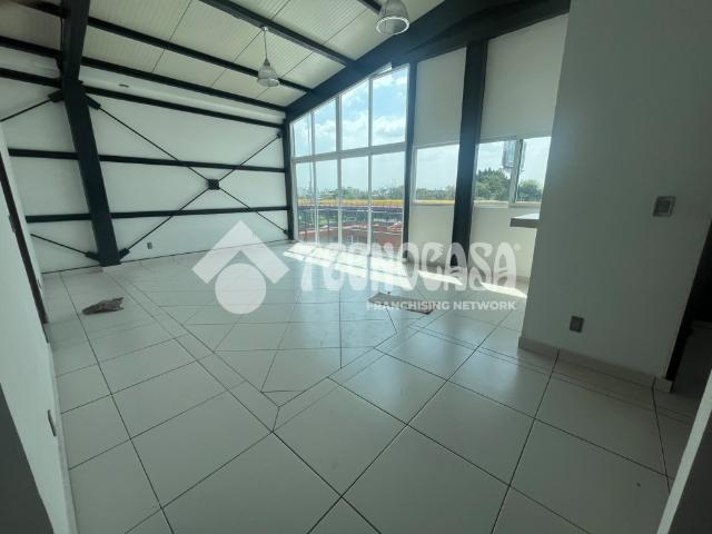 DEPARTAMENTO RECURSOS HIDRAULICOS, COL. 4 ARBOLES