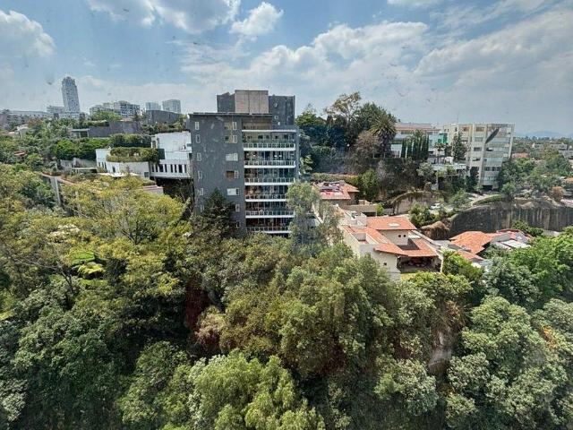 Departamento renta Arbolada Reforma