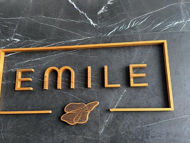 DEPARTAMENTO RENTA O VENTA TORRE EMILE ZONA REAL