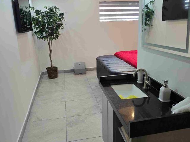 DEPARTAMENTO TIPO STUDIO AMUEBLADO EN RENTA