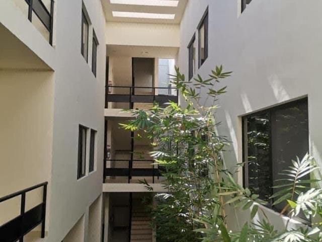 DEPARTAMENTOS AMUEBLADOS EN RENTA