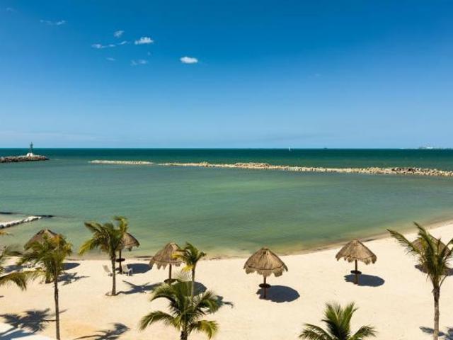 Departamentos bahia en Pre Venta frente al mar de San Benito, Yucatán. 4