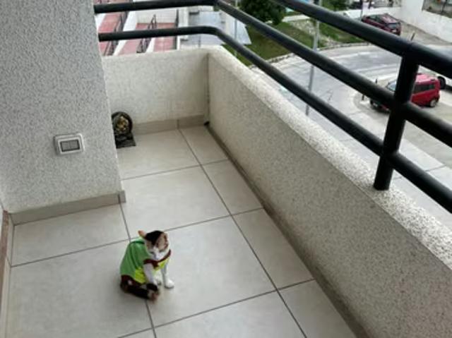 Departamentos en arriendo en coquimbo | arriendo departamento mirador bahía, el sauce, coq 3 dormitorios por clp 480000.00