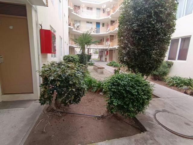 Departamentos en arriendo en La Serena | Se Arrienda departamento en la Serena 3 D 1 B 1818 dormitorios por CLP 490000.00