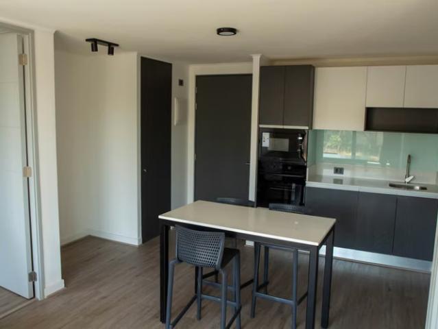 Departamentos en arriendo en Providencia | 2 DORMITORIOS 2 BAÑOS RICARDO LYON 2 dormitorios por CLP 992000.00